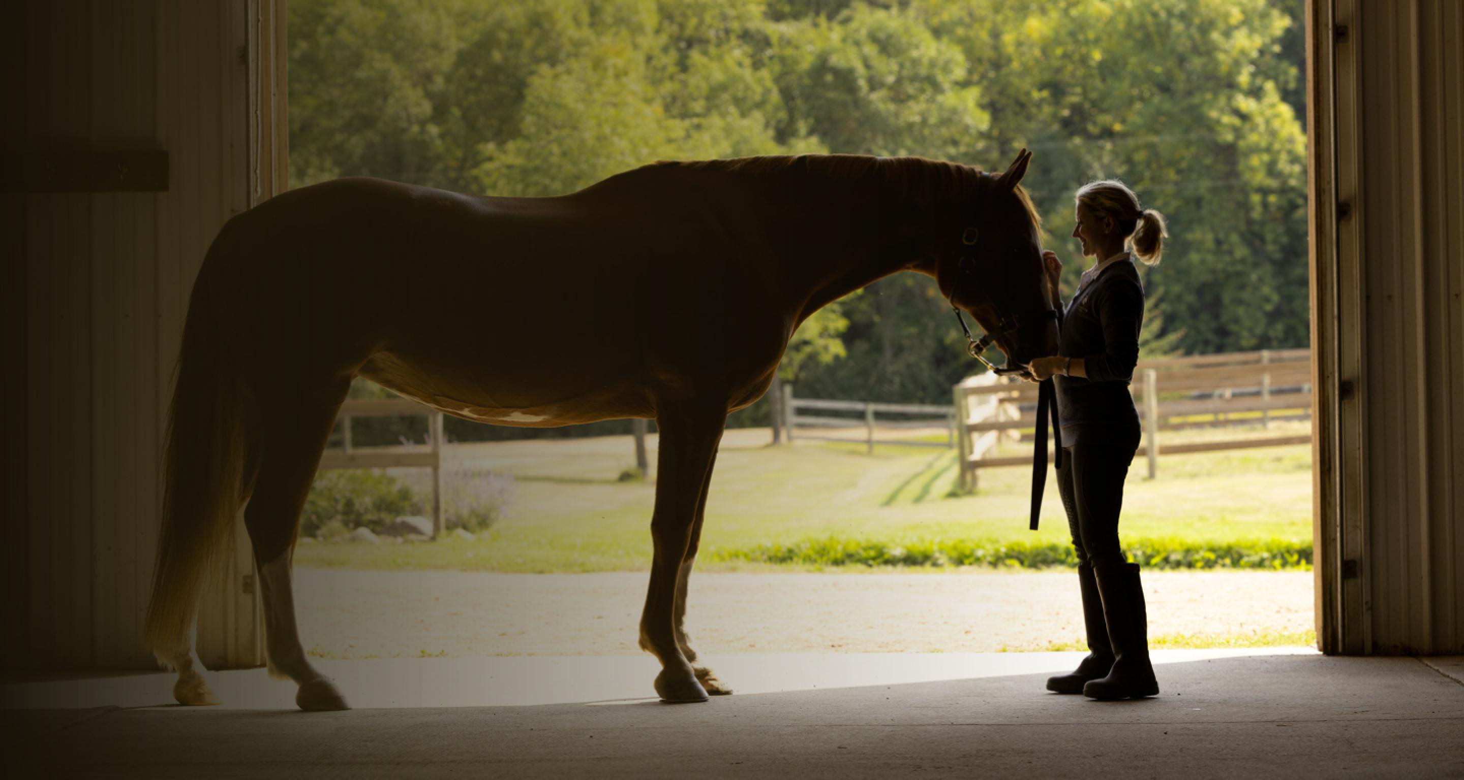 Woman with horse in stable